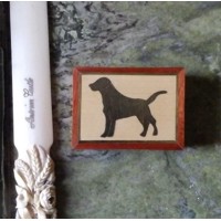 Secret Box - Black Labrador